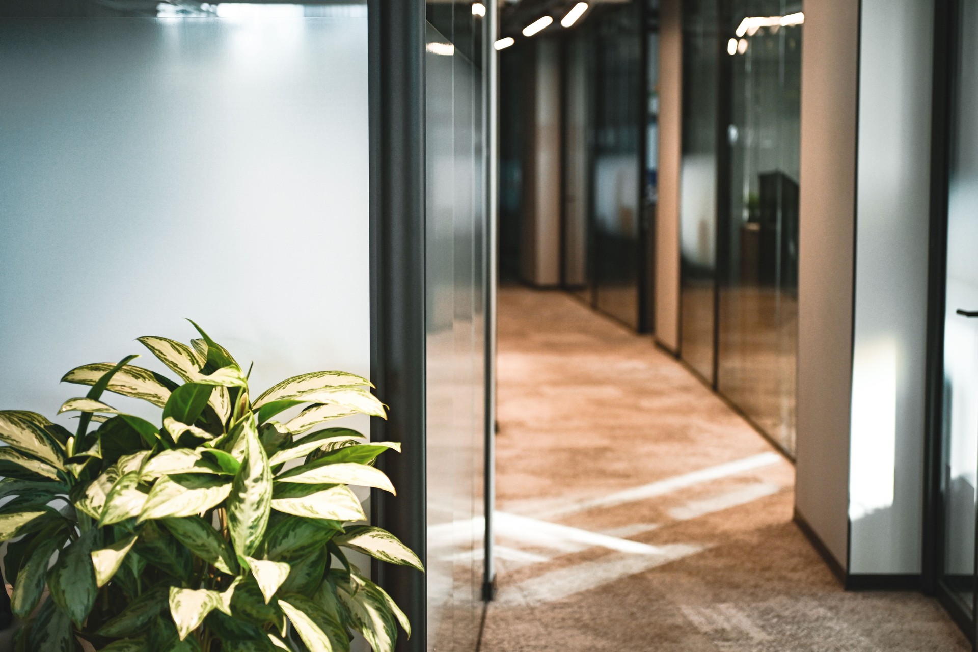 modern office interior